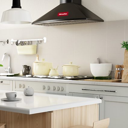 dunstabzugshaube reparatur